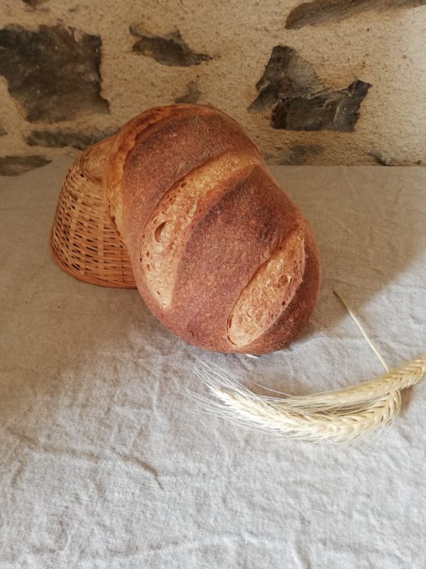 pain blé semi-complet bio au levain naturel